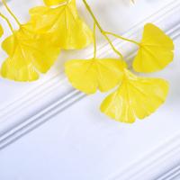 uploads/erp/collection/images/Home Garden/CongDing/XU0611399/img_b/XU0611399_img_b_4